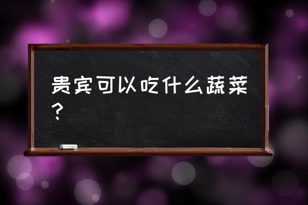 贵宾犬可以吃蔬菜吗 贵宾可以吃什么蔬菜？