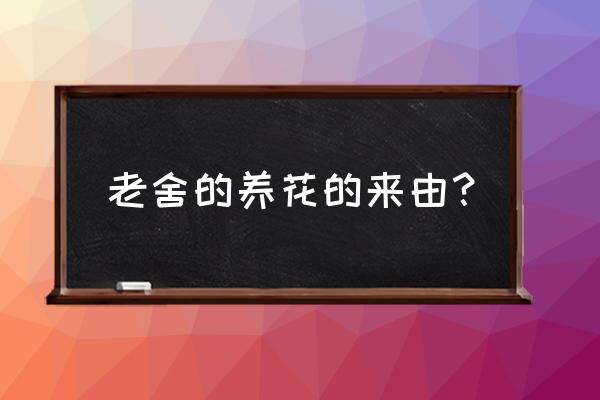 老舍爱养花吗 老舍的养花的来由？