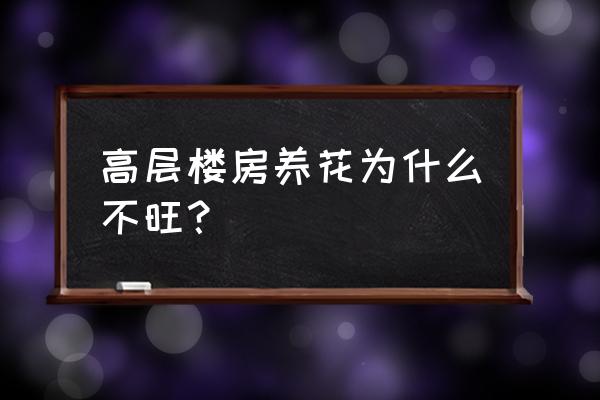 三楼户外养花为什么养不活 高层楼房养花为什么不旺？