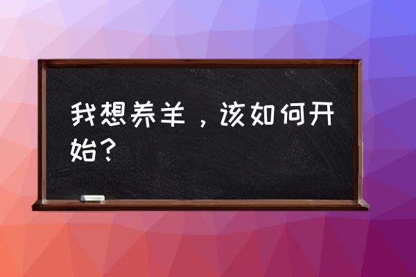 如何开始养羊 我想养羊，该如何开始？