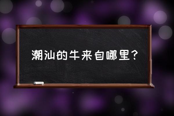 汕头有养牛吗 潮汕的牛来自哪里？