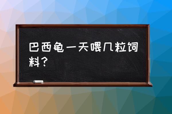 巴西龟可吃乌龟饲料吗 巴西龟一天喂几粒饲料？