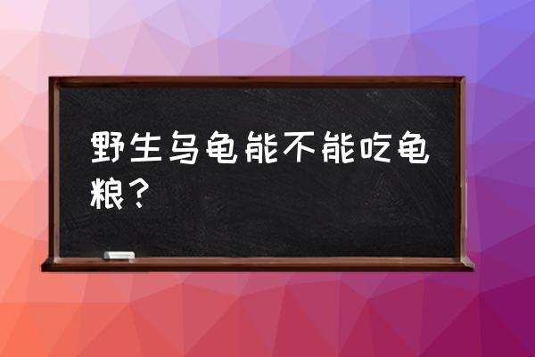 野生乌龟吃饲料吗 野生乌龟能不能吃龟粮？