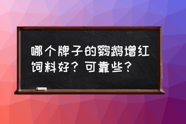 血鹦鹉增红饲料哪种好 哪个牌子的鹦鹉增红饲料好？可靠些？