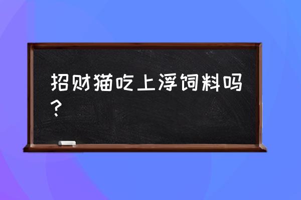 喂饲料招财猫能吃吗 招财猫吃上浮饲料吗？