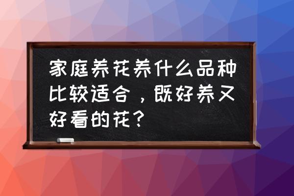 在家养花什么品种好 家庭养花养什么品种比较适合，既好养又好看的花？