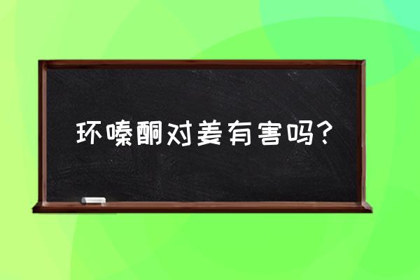 洋姜地用什么灭生除草剂 环嗪酮对姜有害吗？