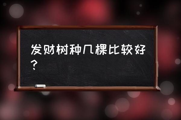 家里种几棵发财树比较好 发财树种几棵比较好？