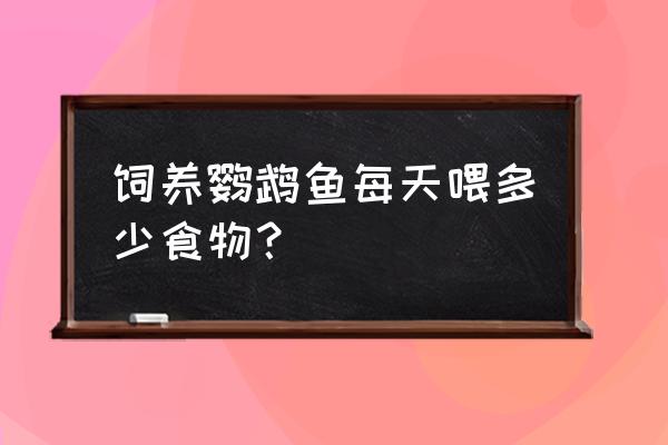 一只鹦鹉鱼一个月吃多少饲料 饲养鹦鹉鱼每天喂多少食物？