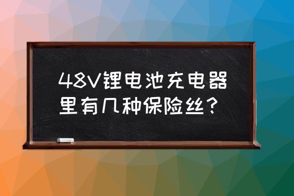 充电器保险丝是什么样 48V锂电池充电器里有几种保险丝？