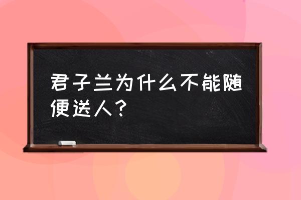 送人君子兰代表了什么含义 君子兰为什么不能随便送人？