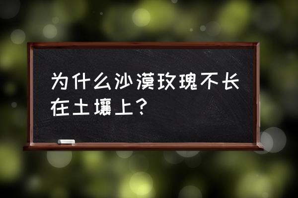 珍珠岩加营养土可以种沙漠玫瑰吗 为什么沙漠玫瑰不长在土壤上？