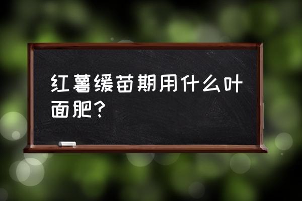 红薯幼苗能不能喷打叶面肥 红薯缓苗期用什么叶面肥？