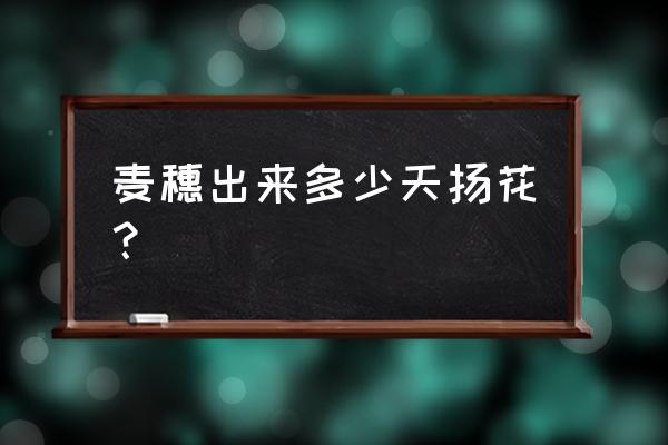 小麦花一般开多久 麦穗出来多少天扬花？