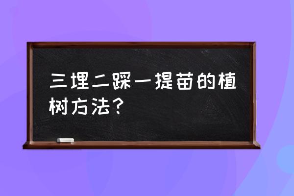 小朋友植树办法有哪些 三埋二踩一提苗的植树方法？