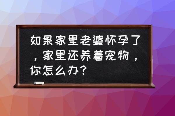 老婆想养一只小宠物 如果家里老婆怀孕了，家里还养着宠物，你怎么办？