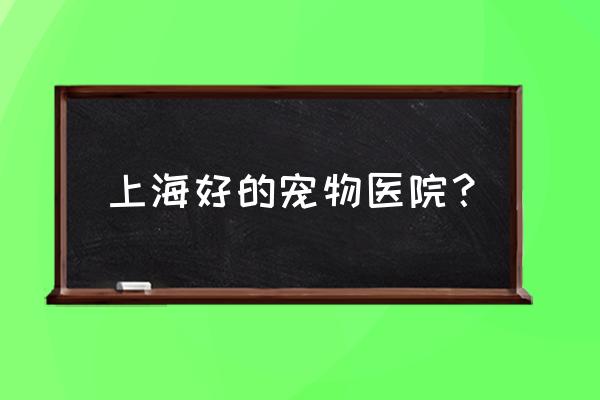 上海哪里适合带宠物 上海好的宠物医院？