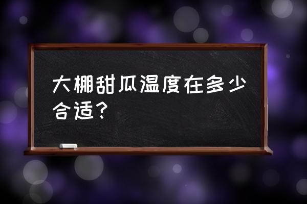 露地羊角蜜甜瓜上架怎么管理 大棚甜瓜温度在多少合适？