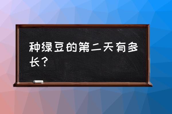 绿豆的15天的生长过程 种绿豆的第二天有多长？