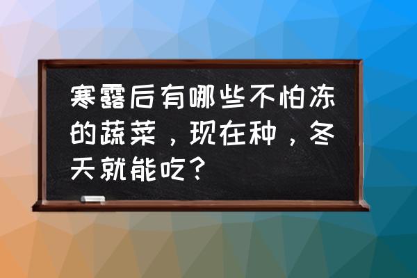 冬季种植蔬菜怎么保暖 寒露后有哪些不怕冻的蔬菜，现在种，冬天就能吃？