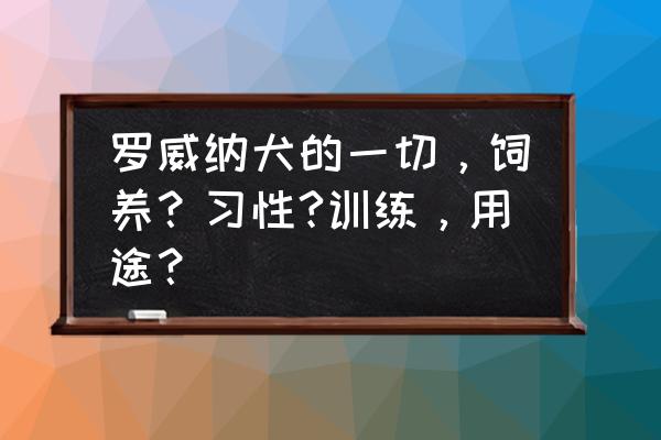 罗威纳几个月喂一次最好 罗威纳犬的一切，饲养？习性?训练，用途？