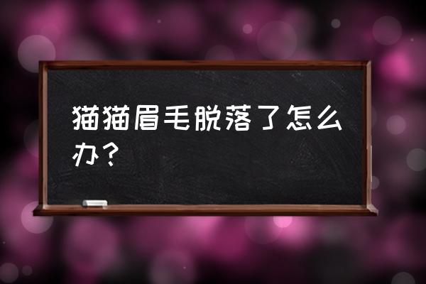 猫咪眉毛处毛稀疏发红 猫猫眉毛脱落了怎么办？