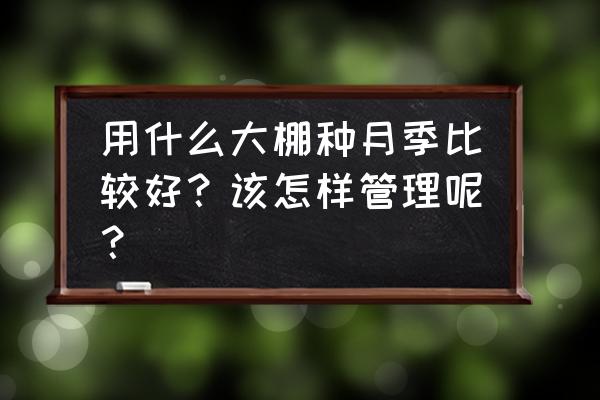 温室大棚花卉怎么养 用什么大棚种月季比较好？该怎样管理呢？