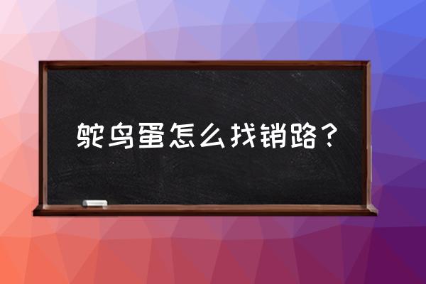 鸵鸟销路在哪 鸵鸟蛋怎么找销路？