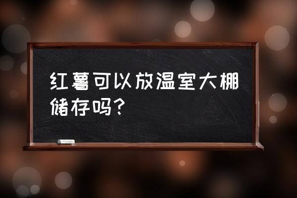 大棚受冻补救方法 红薯可以放温室大棚储存吗？