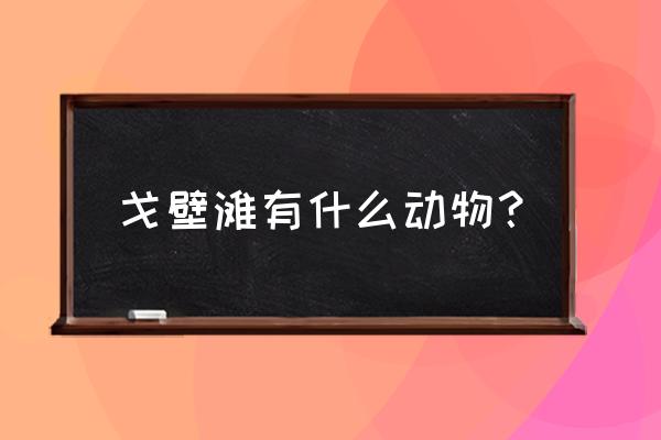 暗黑2干燥的荒地在哪里 戈壁滩有什么动物？