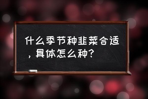 韭菜籽几月份播撒最好 什么季节种韭菜合适，具体怎么种？