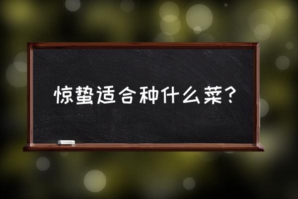 鸡毛菜种子育苗方法全过程 惊蛰适合种什么菜？