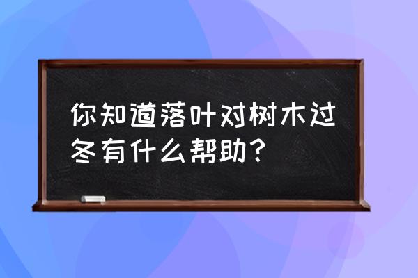 为什么降低温度有利于植物的生长 你知道落叶对树木过冬有什么帮助？