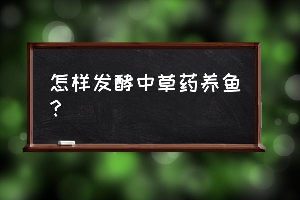 自己种的大青叶怎么用 怎样发酵中草药养鱼？