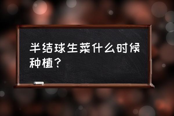 冬季生菜种子怎么种 半结球生菜什么时候种植？