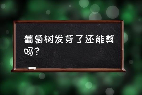 葡萄怎么去芽最快最好 葡萄树发芽了还能剪吗？