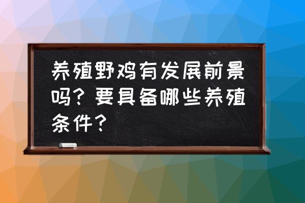 七彩山鸡几个月成熟 养殖野鸡有发展前景吗？要具备哪些养殖条件？