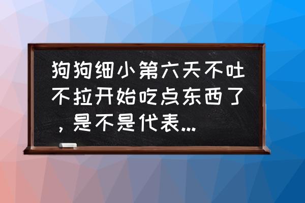 细小治愈后恢复期吃什么 狗狗细小第六天不吐不拉开始吃点东西了，是不是代表好了呢？