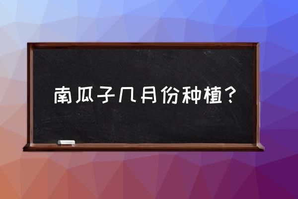 南瓜子种植方法和时间 南瓜子几月份种植？