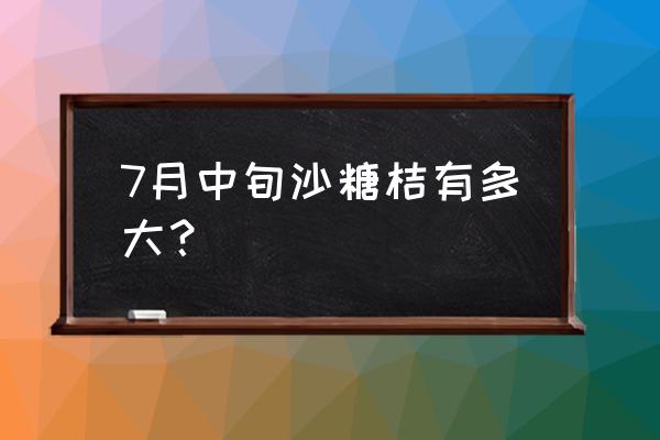 9月份的砂糖橘多大才算合适 7月中旬沙糖桔有多大？