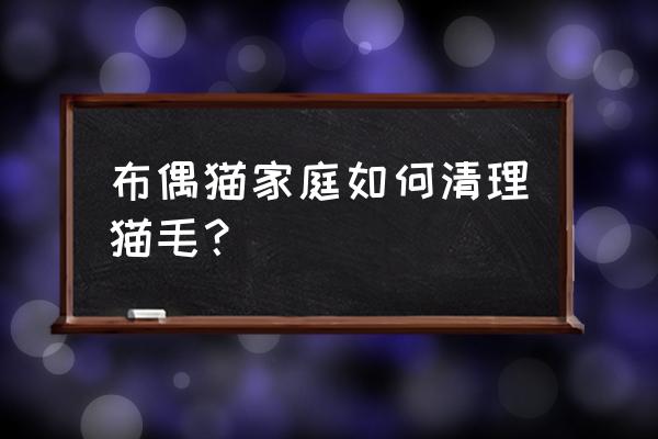 三个月布偶猫吃什么长毛 布偶猫家庭如何清理猫毛？