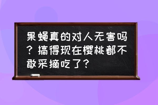 如何有效去除果蝇 果蝇真的对人无害吗？搞得现在樱桃都不敢采摘吃了？