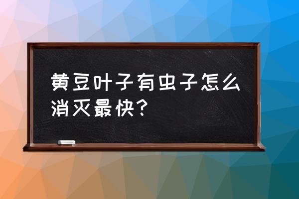 黄豆大量开花喷虫药可以么 黄豆叶子有虫子怎么消灭最快？