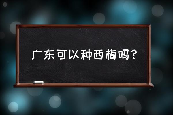 西梅哪里产的最正宗 广东可以种西梅吗？