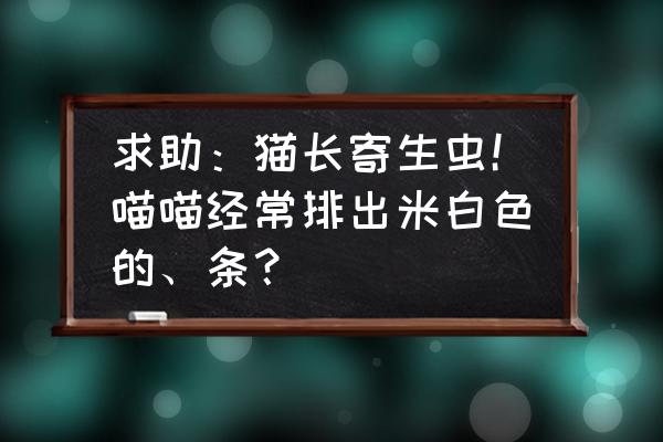 猫绦虫怎么传染给人 求助：猫长寄生虫！喵喵经常排出米白色的、条？