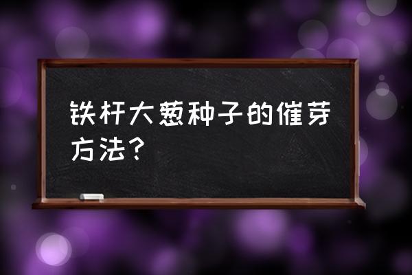 葱籽催芽最快的方法 铁杆大葱种子的催芽方法？