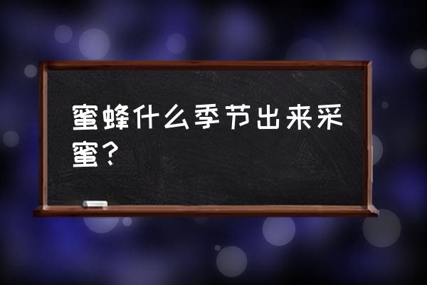 蜜蜂分别几月份产蜜最多 蜜蜂什么季节出来采蜜？