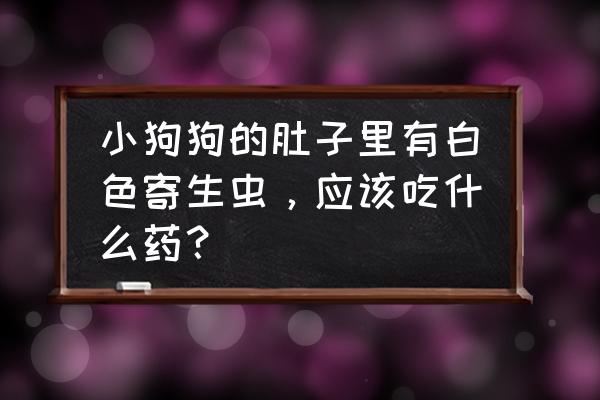 狗狗有寄生虫有哪些症状 小狗狗的肚子里有白色寄生虫，应该吃什么药？