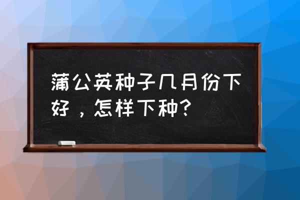 种子催芽时间表 蒲公英种子几月份下好，怎样下种？