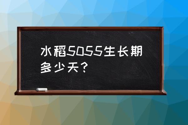 水稻生长周期一览表 水稻5055生长期多少天？